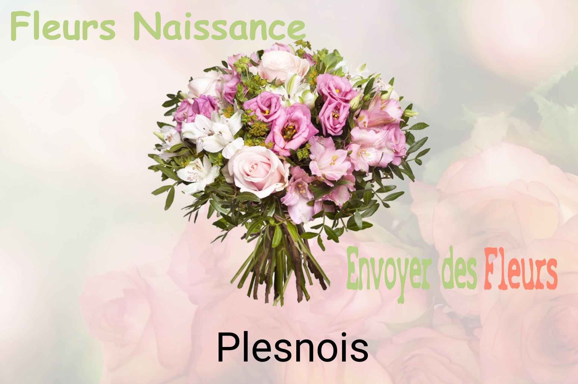 Bouquet de fleurs de naissance livré à Plesnois